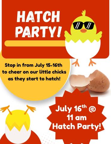 Hatch Party Hatch Party